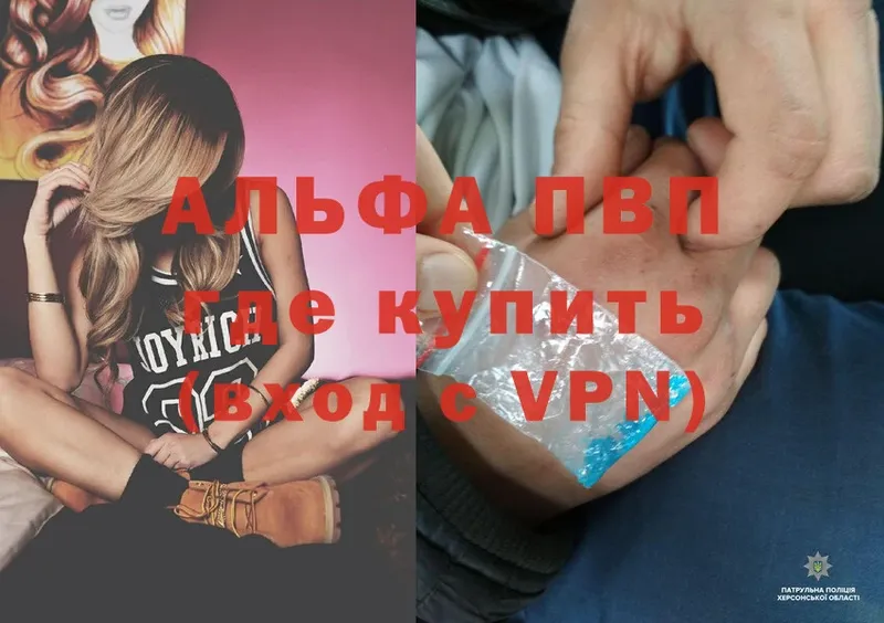 A PVP СК КРИС  Армавир 